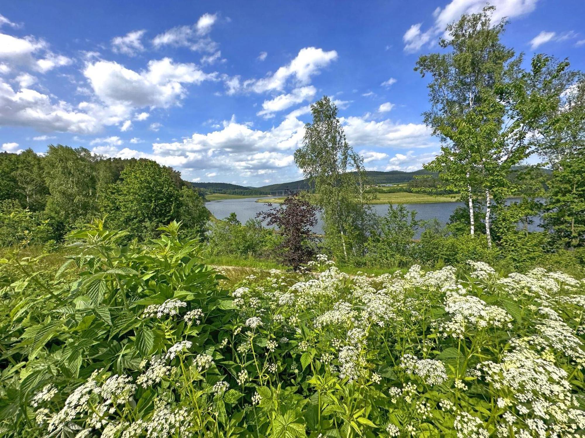 Feriendorf Seeblick - Tinyhouse Direkt Am See Neunburg vorm Wald Buitenkant foto