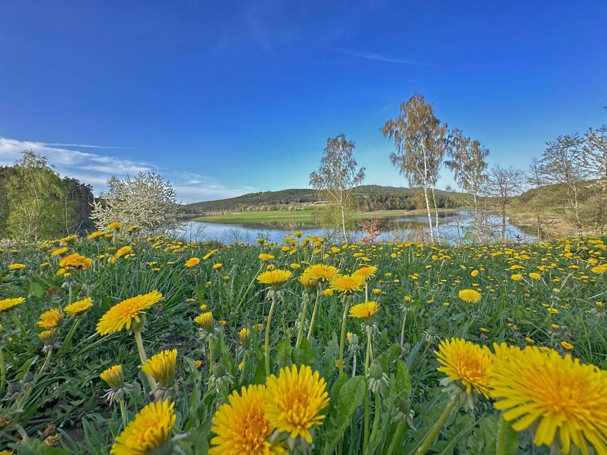 Feriendorf Seeblick - Tinyhouse Direkt Am See Neunburg vorm Wald Buitenkant foto